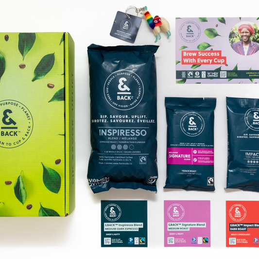 The &BACK Discovery Box